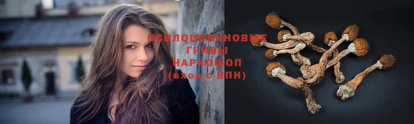 MESCALINE Покров