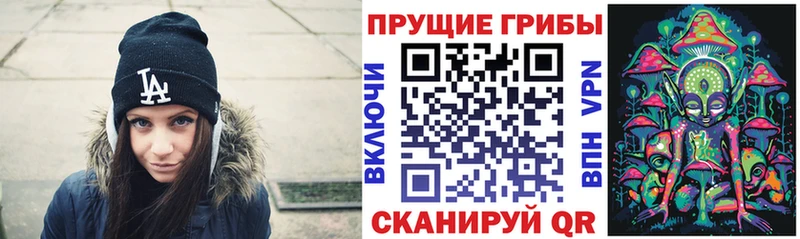 Купить где  Фролово  Галлюциногенные грибы Magic Shrooms 