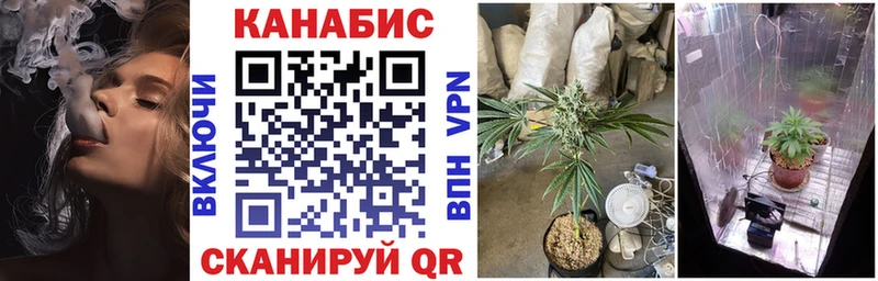 Купить  Фролово  МАРИХУАНА White Widow 